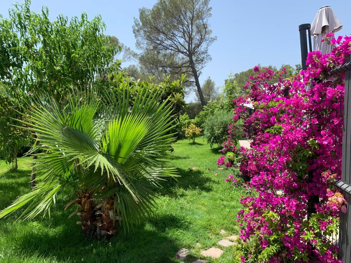La Balma - 4 Appartements Avec Jardin En Maison Passive De Plain Pied A Frejus-Saint-Raphael Fréjus Exterior photo